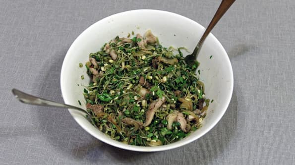 Проращиватель Rawmid DS-01