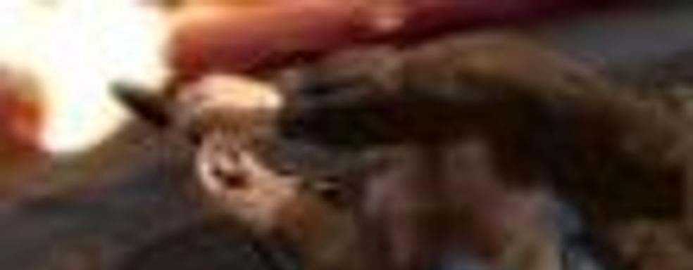 До 32 человек в мультиплеере РС-версии GTA IV