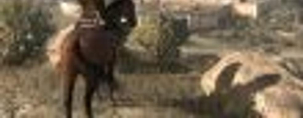 В разработке находится пользовательская модификация для GTA V, которая добавит в игру мир Red Dead Redemption