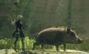 Оценки Nier: Automata – отличная ролевая игра с захватывающими сражениями