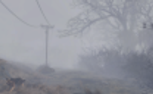 Превращаем Fallout 4 в Silent Hill с помощью мода Whispering Hills