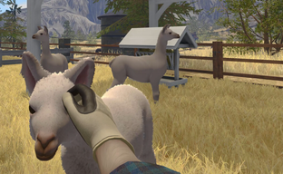 House Flipper получила сломанное DLC Farm Flipper, которое разгромили фанаты. Разработчики быстро выпустили патч