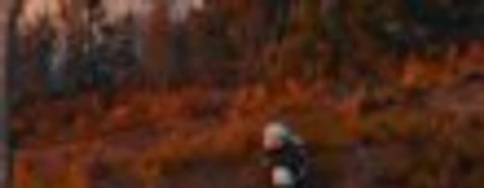 Демонстрация японской версии The Witcher 3: Wild Hunt 