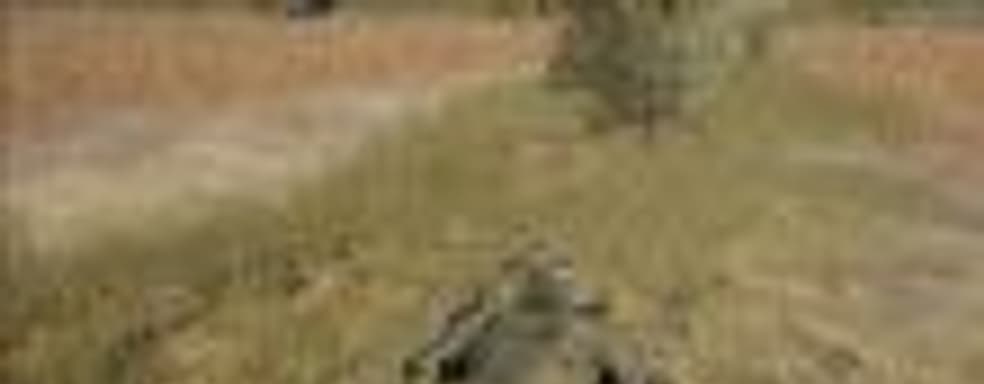 В иске PUBG Corporation против игр-клонов говорится о том, что «косметика» влияет на игру