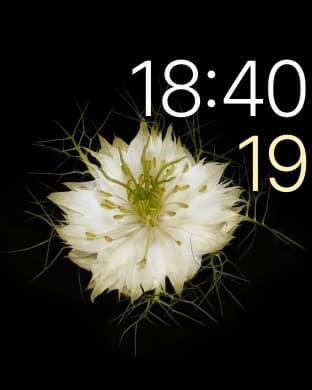 Скриншот Apple Watch