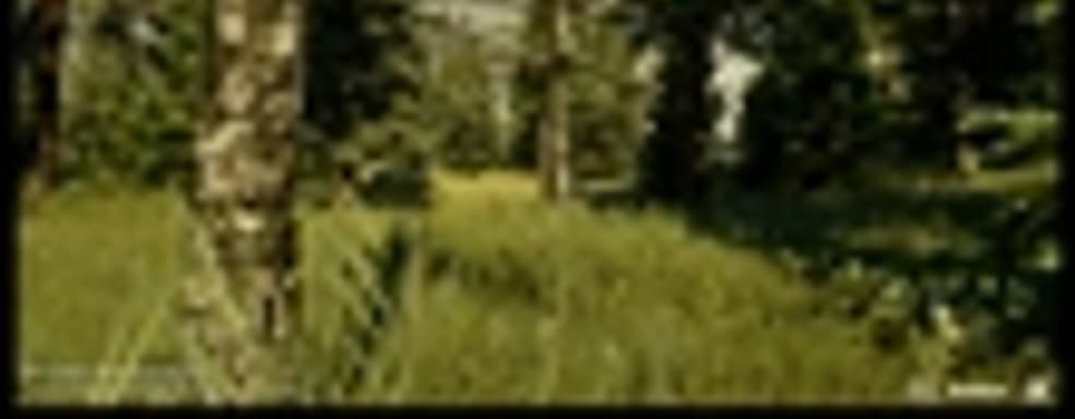 Dragon Age: Inquisition - год на полировку игры