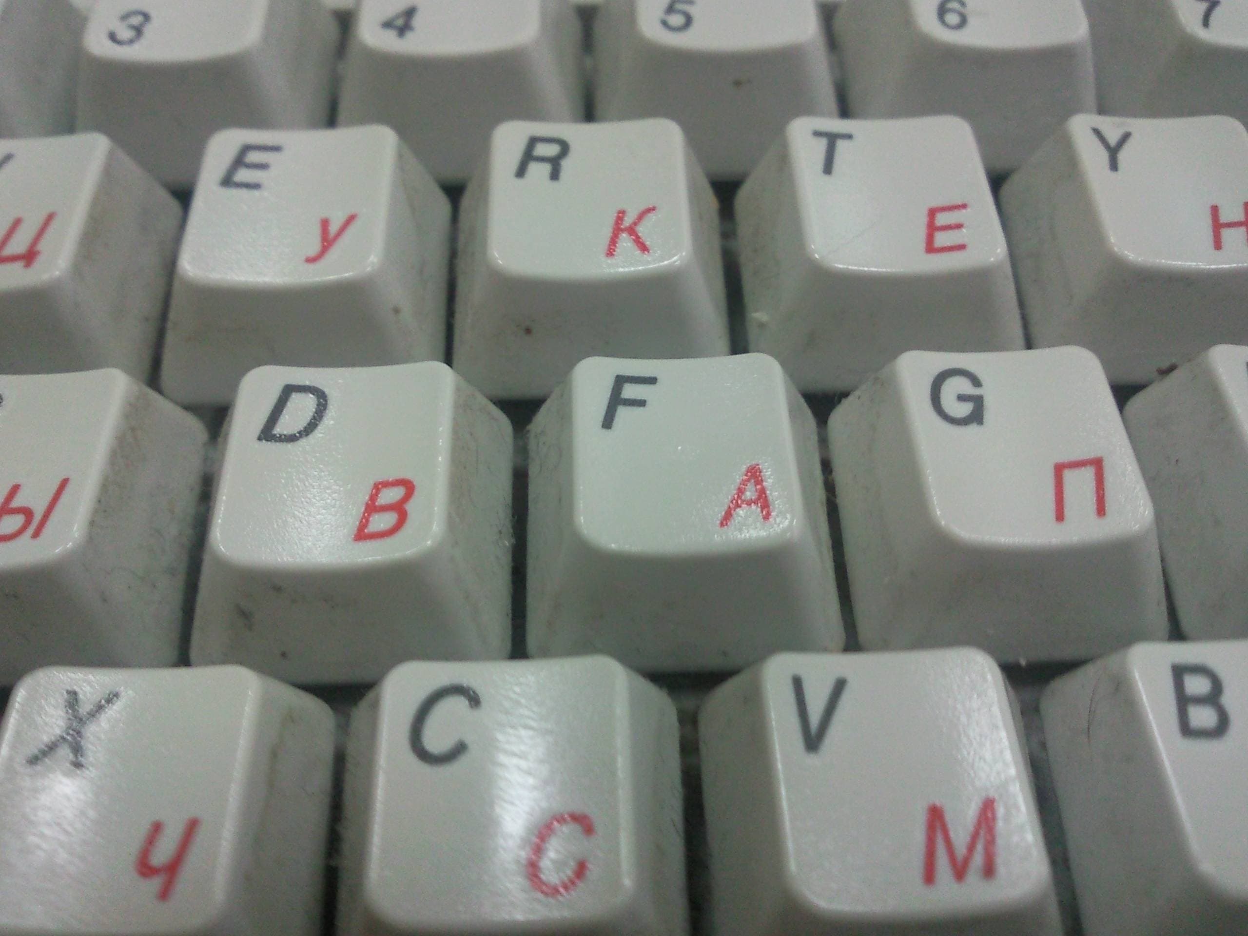 Пример фотографии макро