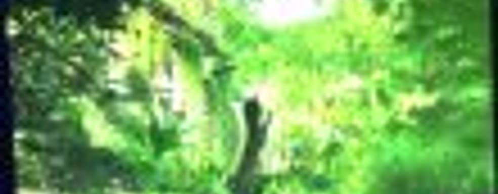 Похоже, GeForce RTX 2080Ti не обеспечивает стабильные 60к/c в разрешении 1080р в Shadow of the Tomb Raider при включённой Nvidia RTX