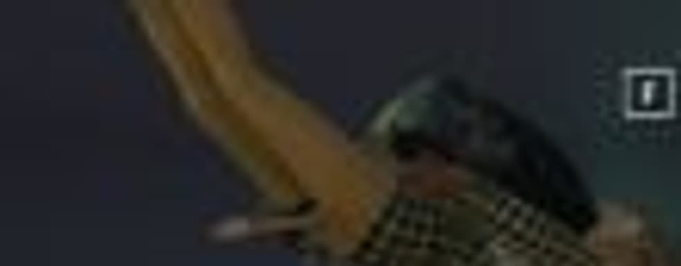 Это хвост! – создатели PUBG удалили из игры костюм льва из-за хвоста