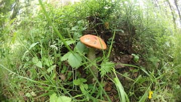 Экшн-камера Olympus TG-Tracker