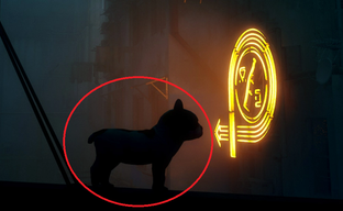 Игроки в Stray меняют расцветку котика, заменяют его на собаку и заставляют героя орать «Джейсон!» из Heavy Rain