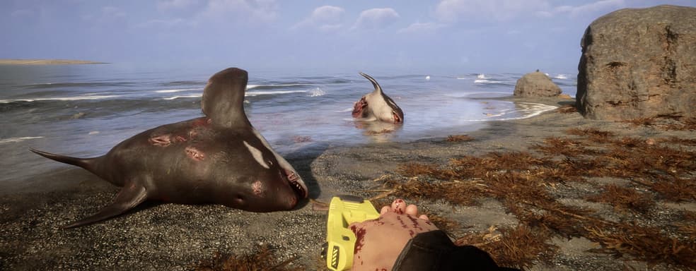 Valve назвала самые продаваемые продукты прошлой недели в Steam