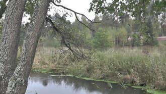 Видеокамера Panasonic AG-AC8