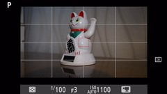 Видеосъемка фотоаппаратом Nikon D500