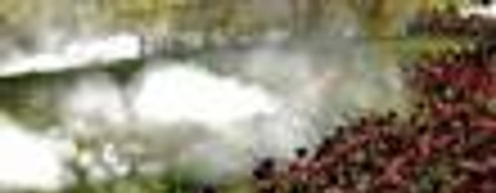 «Золотое издание» Total War