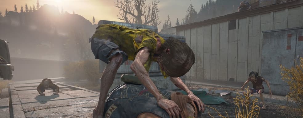 Оценки на Metacritic для Sony важней продаж, считает создатель Days Gone