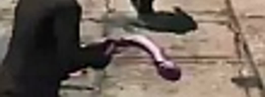 Saints Row: The Third: пурпурный член и другое оружие массового поражения