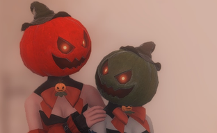 Настойчивого геймера арестовали за преследование девушки в видеоигре Final Fantasy XIV