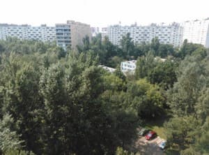 Тестовый снимок тыльной камеры ZTE nubia z5