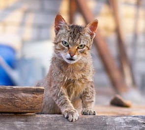 Исходное изображение