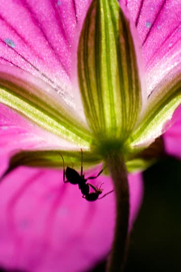 Внешняя вспышка на держателе