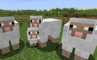 Фанат Minecraft случайно «вывел» RTX-овцу, способную отражать окружение