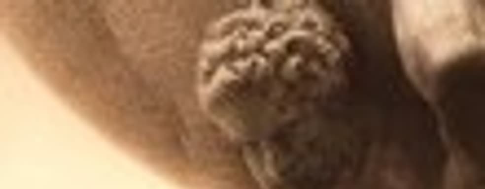 Ролик Sid Meier's Civilization VI, который представляет Индию и Махатма Ганди