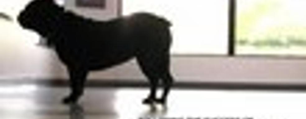 Naughty Dog: Uncharted - не трилогия. Behind the Scenes