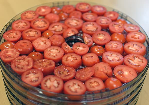 Электрическая сушилка Mystery MDH-321