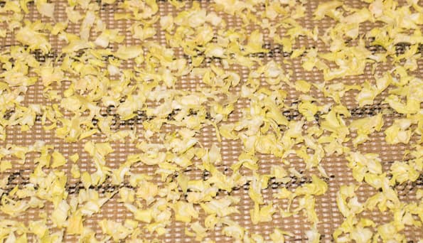 Дегидратор Excalibur 4926T