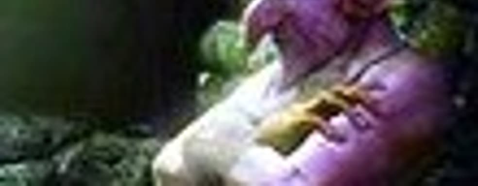 Продажи оригинальной Trine превысили 1,1 млн. копий. Trine 2 в продаже