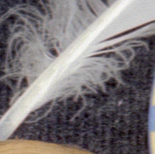 Epson Perfection 4990 Photo