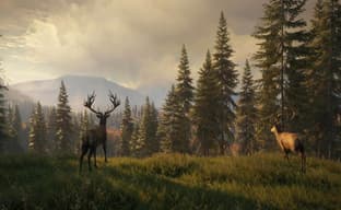 Epic Games Store раздаёт симулятор охотника. Названы следующие бесплатные игры