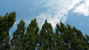 Samsung Galaxy S4 Active, пример снимка