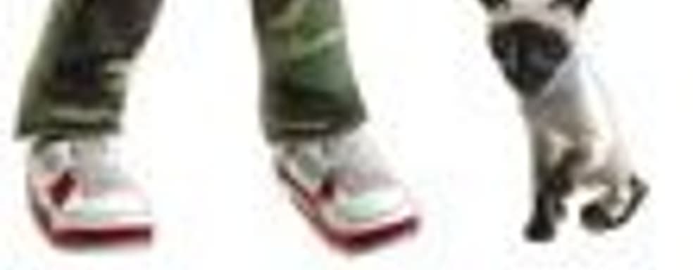 Аватары Xbox Live обзаведутся питомцами