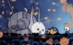 Hollow Knight: боевой жук
