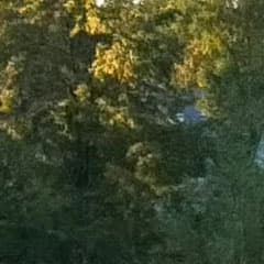 Видеосъемка фотоаппаратом Panasonic DMC-G7