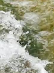 Видеосъемка фотоаппаратом Leica SL (Typ 601)