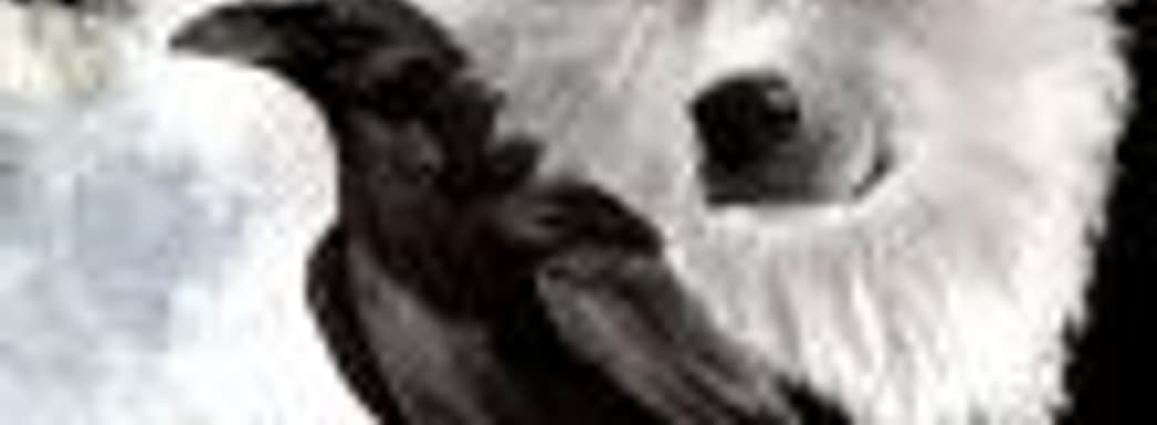 Obsidian Entertainment в 2005 году отказалась делать игру по мотивам Game of Thrones