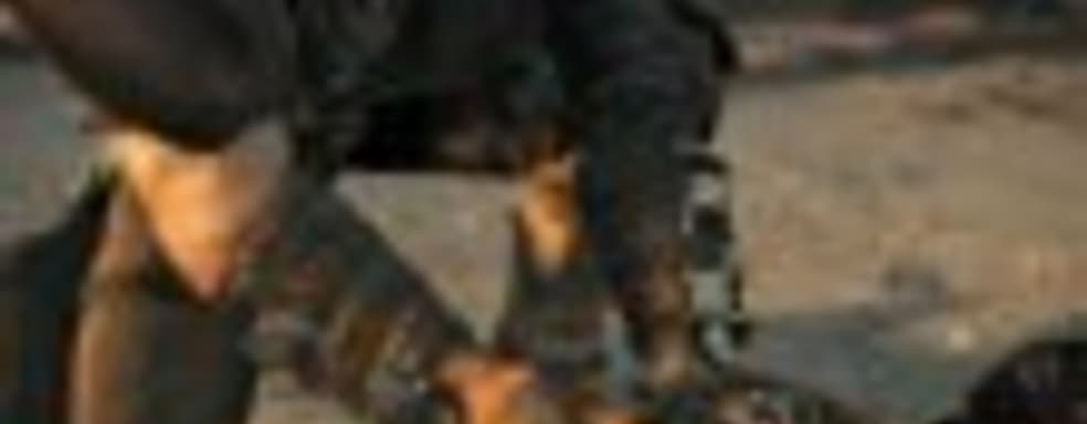 Mad Max с русскими субтитрами