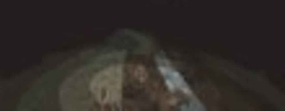 Демонстрация Shelter