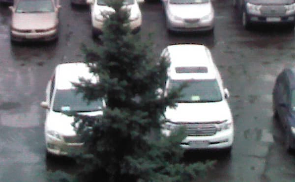 Фрагмент фотографии, сделанной на тыловую камеру Lenovo ThinkPad Tablet