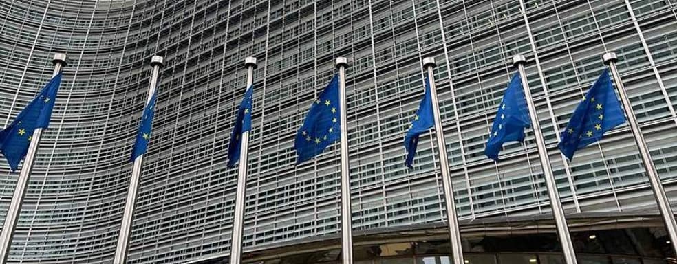 Кампания Stop Killing Games столкнулась с препятствием в виде анонимной жалобы в ЕС