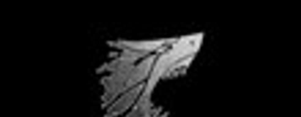 Трейлер Depth 