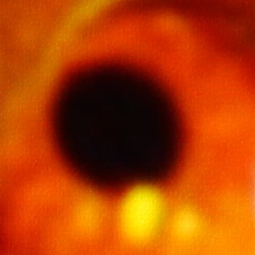 Проектор JVC DLA-X70RB, e-shift вкл.