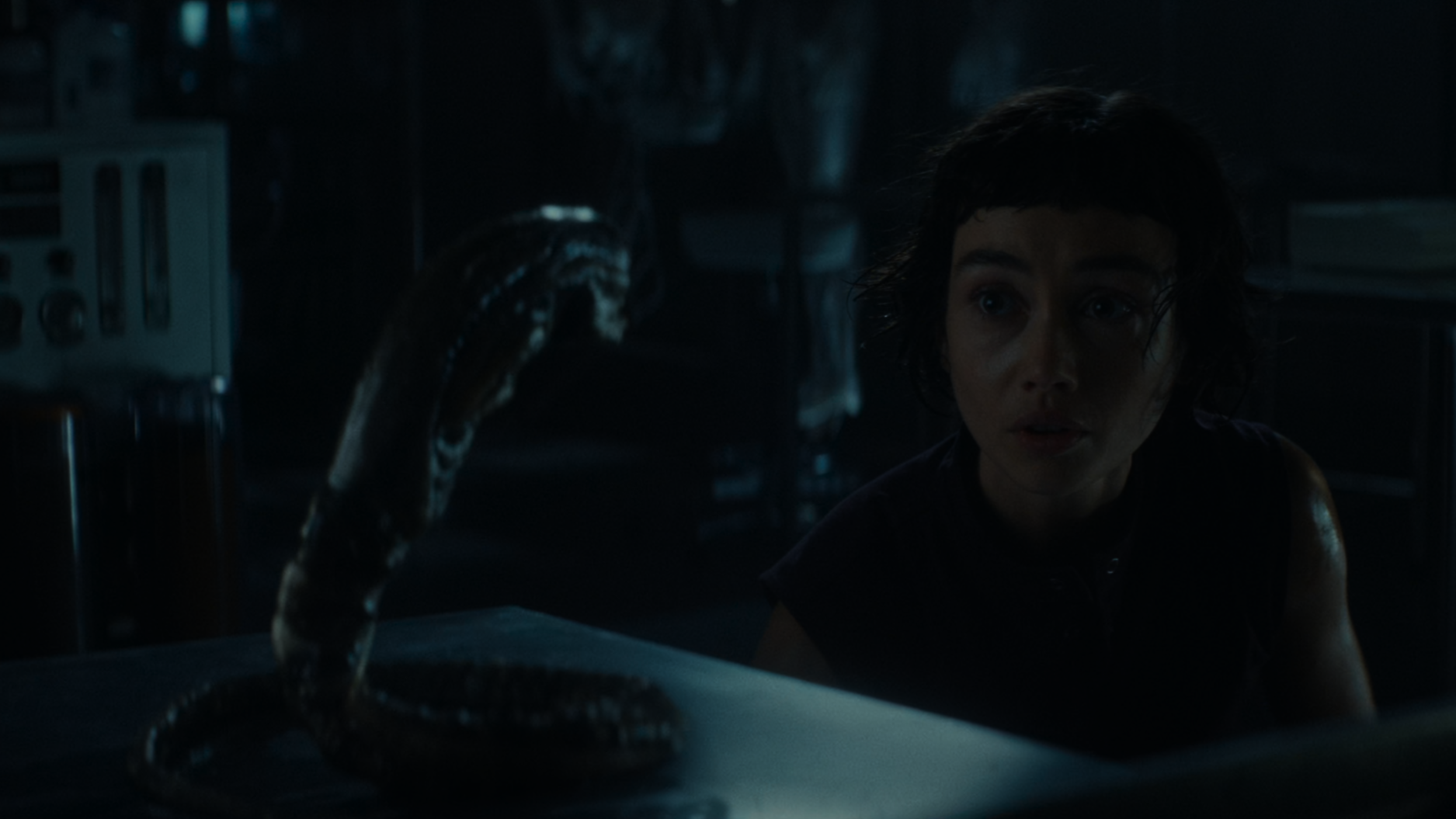 Кадр из сериала «Чужой: Земля»