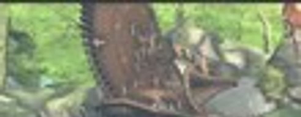 Трейлер Final Fantasy XIV