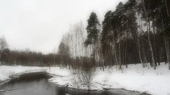 Видеосъемка фотоаппаратом Olympus OM-D E-M5 Mark II