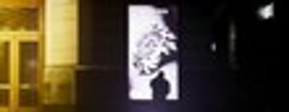 Niko Belic и Saints Row: The Third