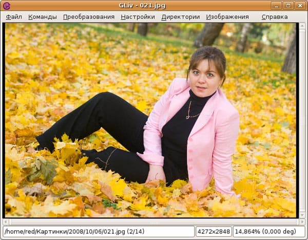 Просмотр изображения в GLiv